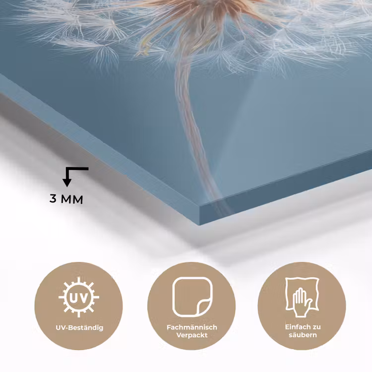Paardenbloem - Wind - Blauw plexiglas 5mm klein -wsfeer2_DE