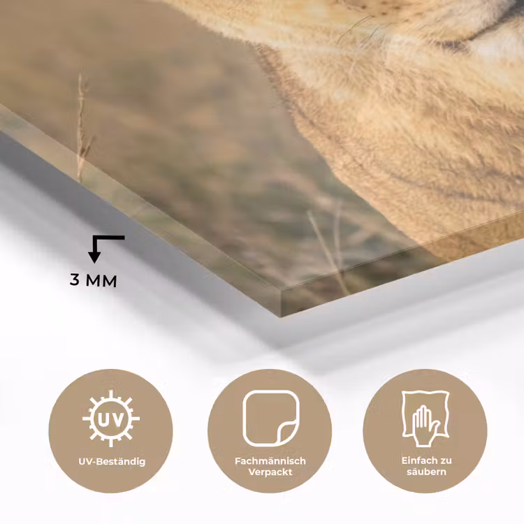 Leeuwin - Gras - Geel plexiglas 5mm klein -wsfeer2_DE