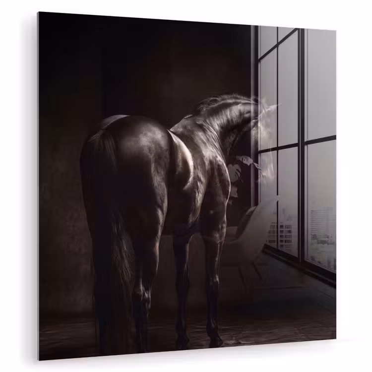 Krachtig - Paard - Donker plexiglas 5mm klein -zzzproduct_nieuw