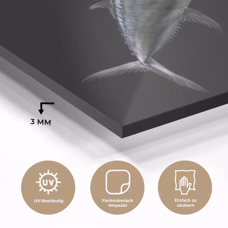 Makreel - Vis - Zwart plexiglas 5mm klein -wsfeer2_DE