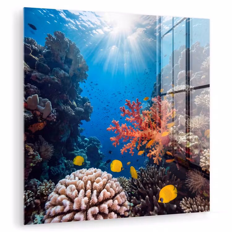 Zee - Koraalrif - Natuur - Levendig - Blauw plexiglas 5mm klein -zzzproduct_nieuw