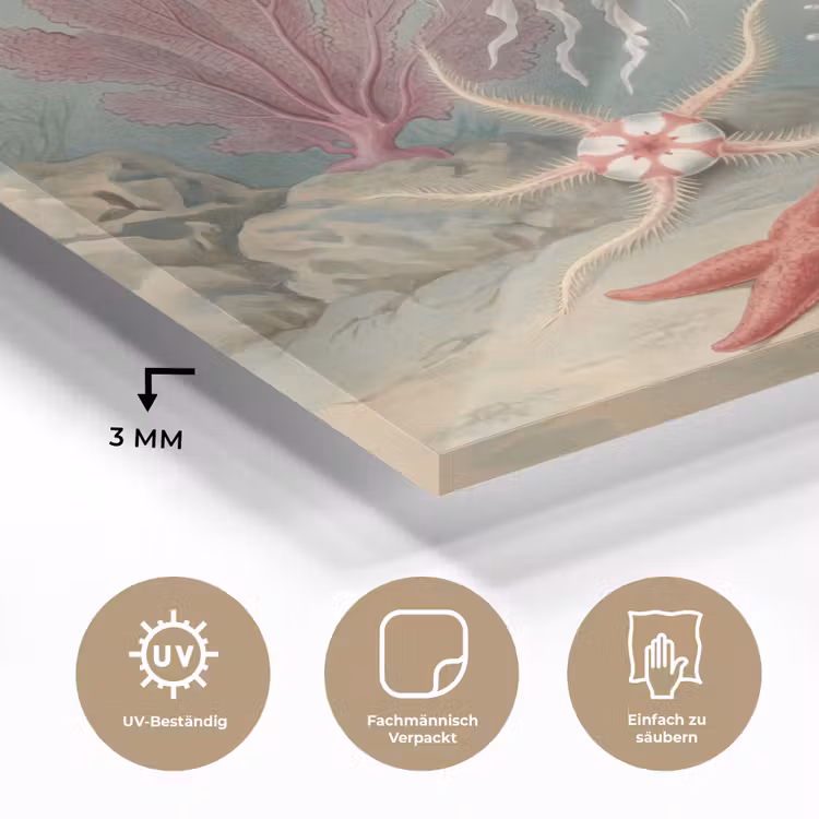 Zeeleven - Kwal - Onderwater - Illustratie - Beige plexiglas 5mm klein -wsfeer2_DE