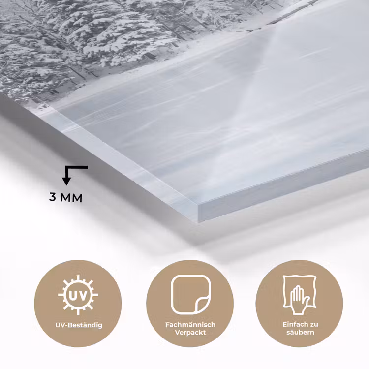 Meer - Dennen - IJs - Winter - Rustgevend plexiglas 5mm klein -wsfeer2_DE