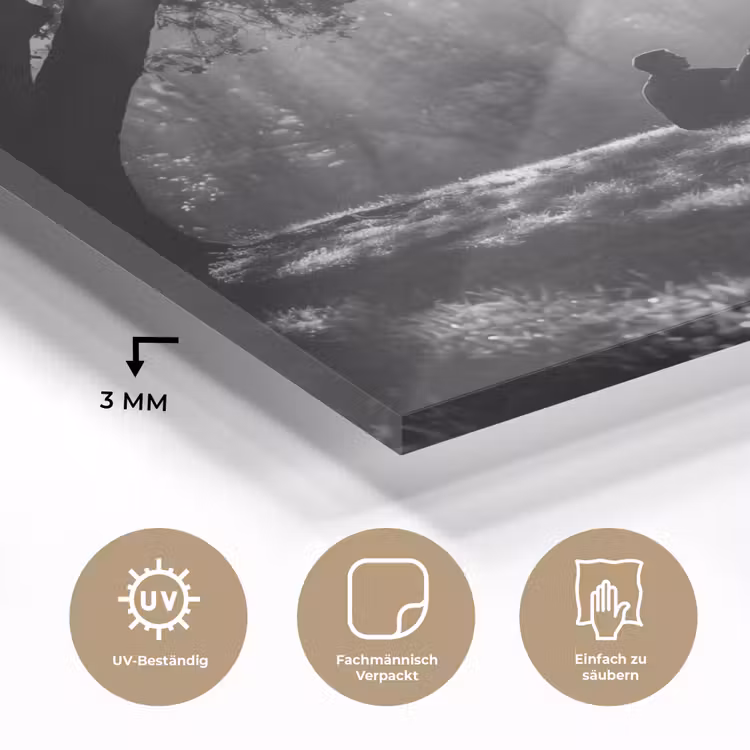 Mens - Hond - Natuur - Zwart-wit - Silhouet plexiglas 5mm klein -wsfeer2_DE