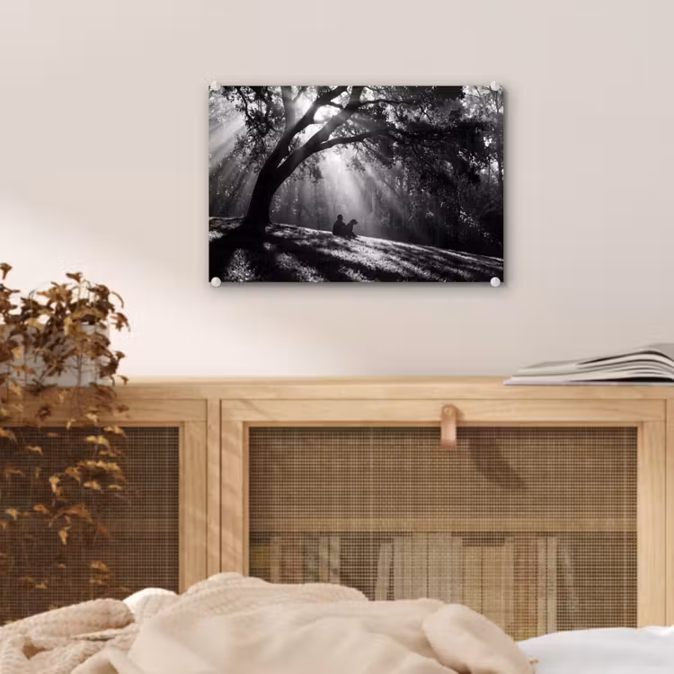 Mens - Hond - Natuur - Zwart-wit - Silhouet plexiglas 5mm klein -sfeer3