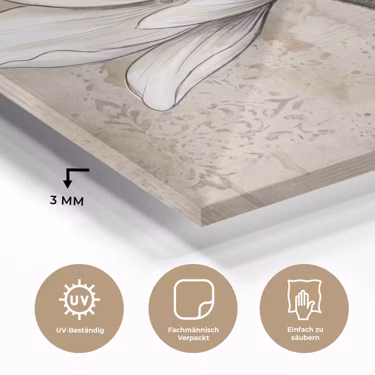 Modern - Design - Wit plexiglas 5mm klein -wsfeer2_DE
