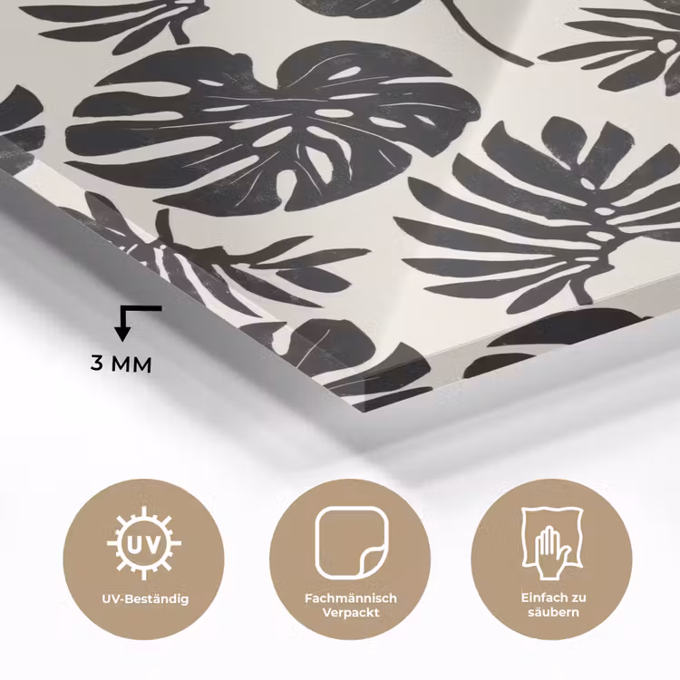 Modern - Monstera - Zwart plexiglas 5mm klein 11 -wsfeer2_DE