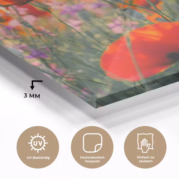 Klaproos - Bloemen - Rood - Paars - Weide plexiglas 5mm klein -wsfeer2_DE