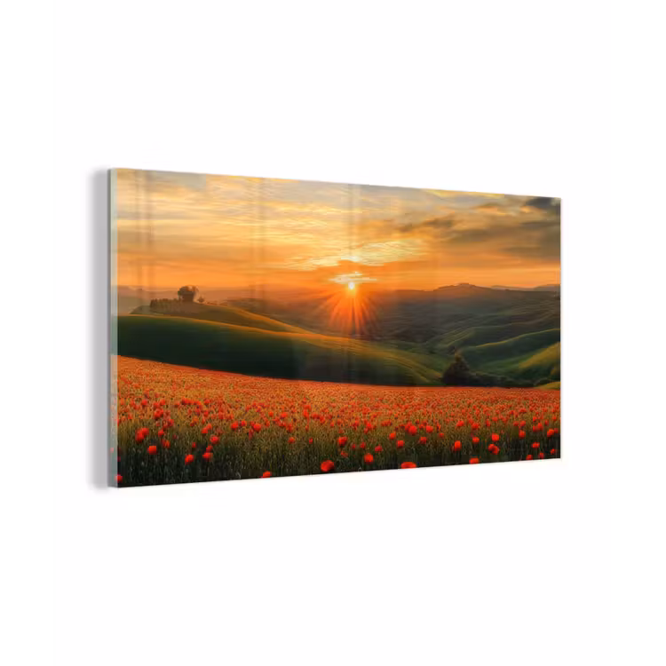 Klaprozen - Bloemen - Heuvels - Zonsondergang plexiglas 5mm klein -z3d