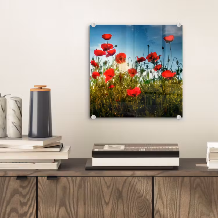 Klaprozen - Toscane - Zon - Rood - Blauw plexiglas 5mm klein -sfeer1