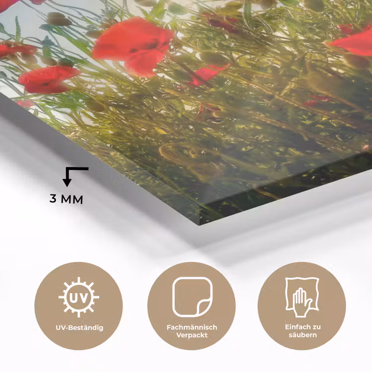 Klaprozen - Toscane - Zon - Rood - Blauw plexiglas 5mm klein -wsfeer2_DE