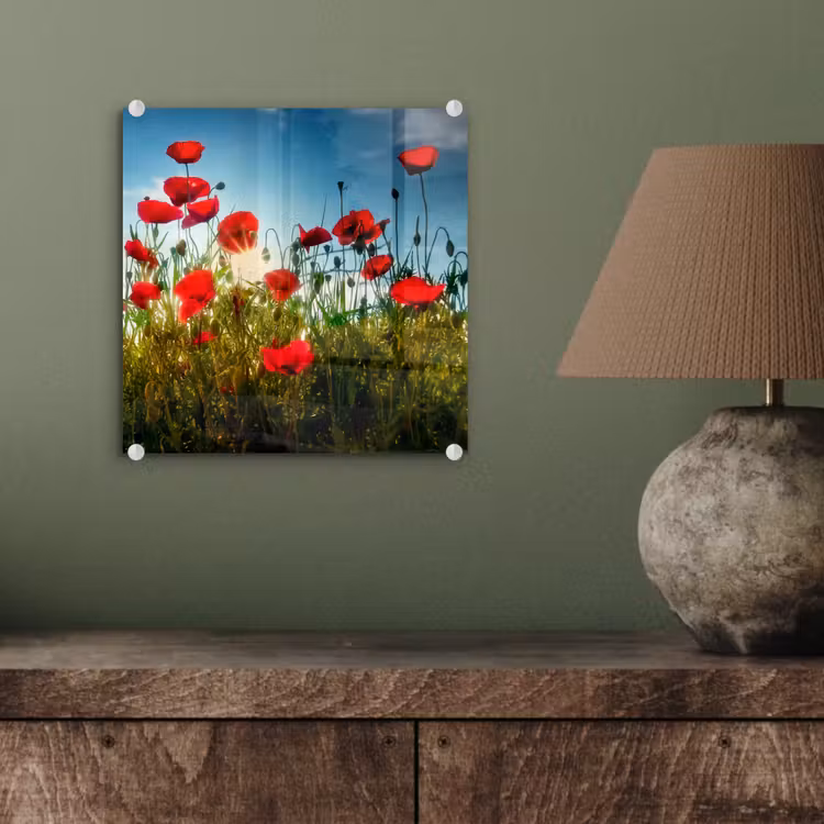 Klaprozen - Toscane - Zon - Rood - Blauw plexiglas 5mm klein -sfeer3