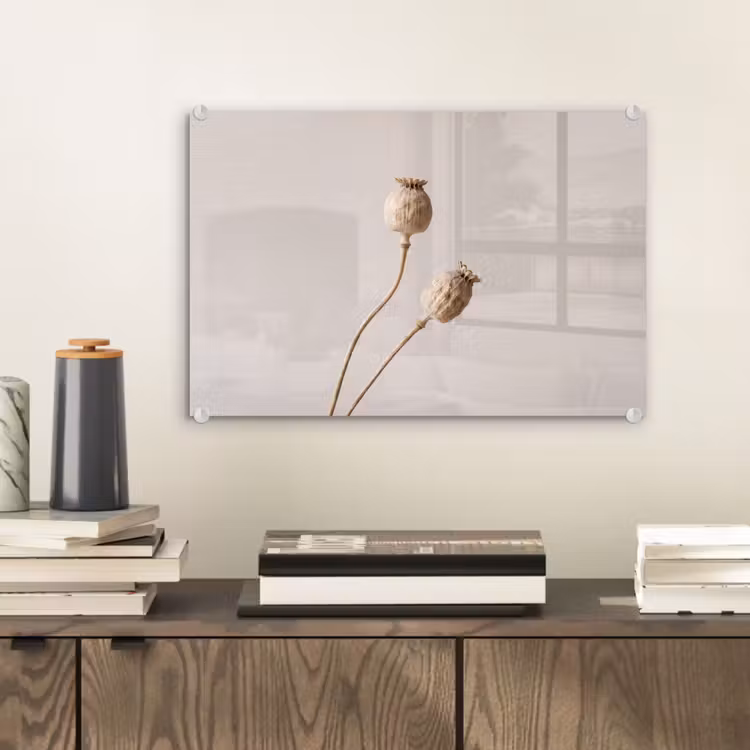 Papaverbollen - Droogbloemen - Minimalistisch - Beige - Rustig plexiglas 5mm klein -sfeer1