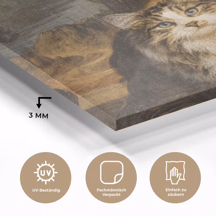Mona Lisa - Kat - Leonardo da Vinci - Vintage - Kunstwerk - Oude meesters - Schilderij plexiglas 5mm klein -wsfeer2_DE