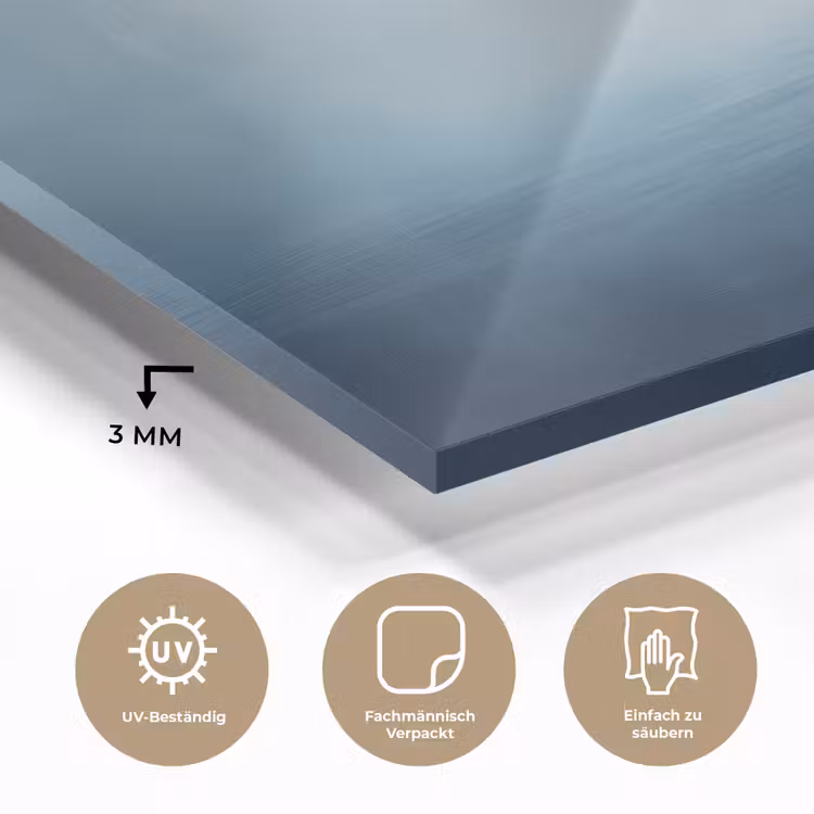 Meeuw - Wit - Zee - Mistig plexiglas 5mm klein -wsfeer2_DE