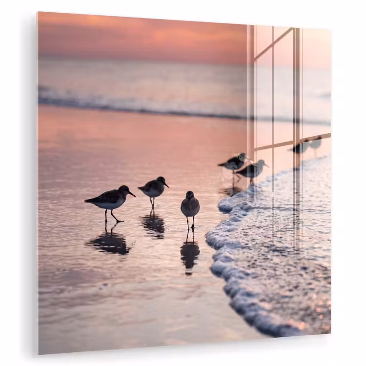 Meeuwen - Strand - Zee - Roze plexiglas 5mm klein -zzzproduct_nieuw