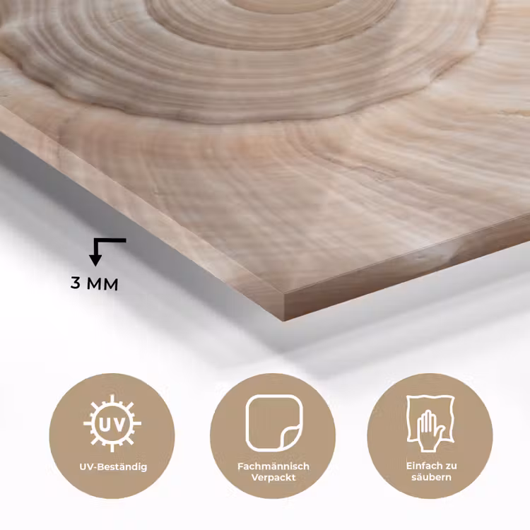 Schelp - Detail - Beige plexiglas 5mm klein -wsfeer2_DE
