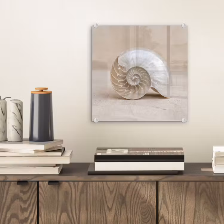 Schelp - Spiraal - Beige plexiglas 5mm klein -sfeer1