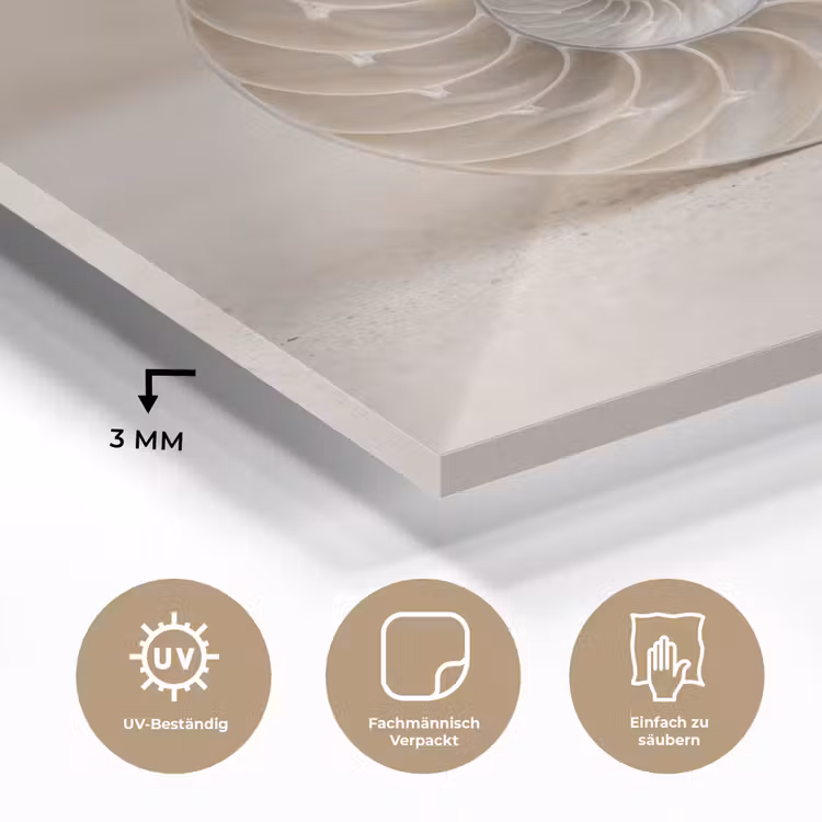 Schelp - Spiraal - Beige plexiglas 5mm klein -wsfeer2_DE
