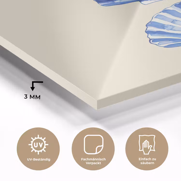 Schelpen - Blauw - Beige plexiglas 5mm klein -wsfeer2_DE
