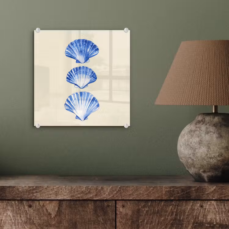 Schelpen - Blauw - Beige plexiglas 5mm klein -sfeer3