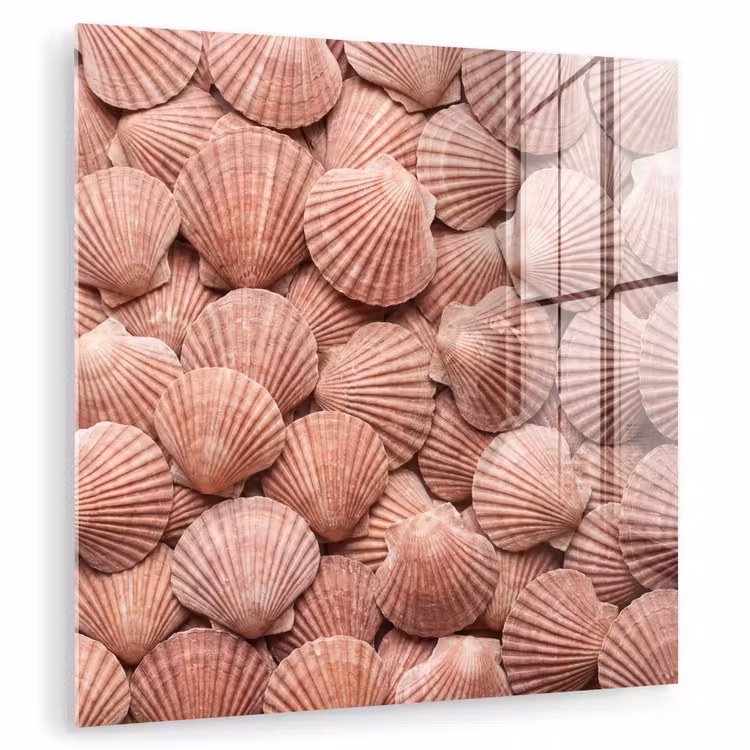 Schelpen - Patroon - Roze plexiglas 5mm klein -zzzproduct_nieuw