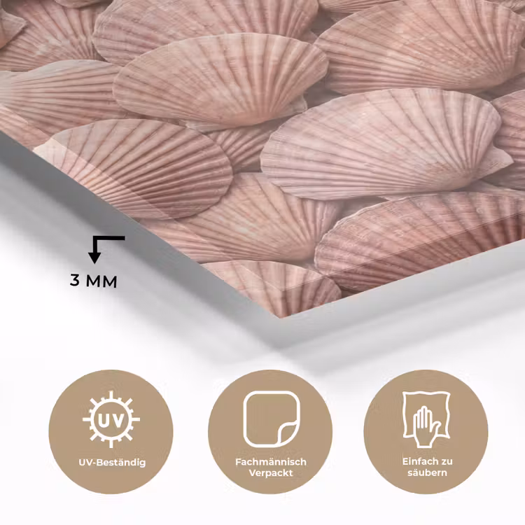 Schelpen - Patroon - Roze plexiglas 5mm klein -wsfeer2_DE