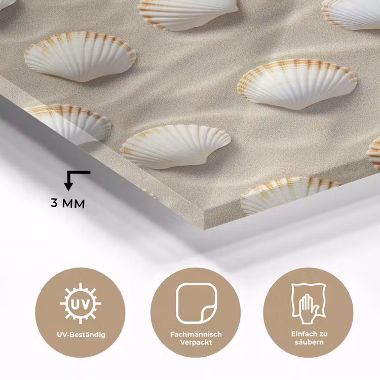 Schelpen - Zand - Maritiem plexiglas 5mm klein 11 -wsfeer2_DE