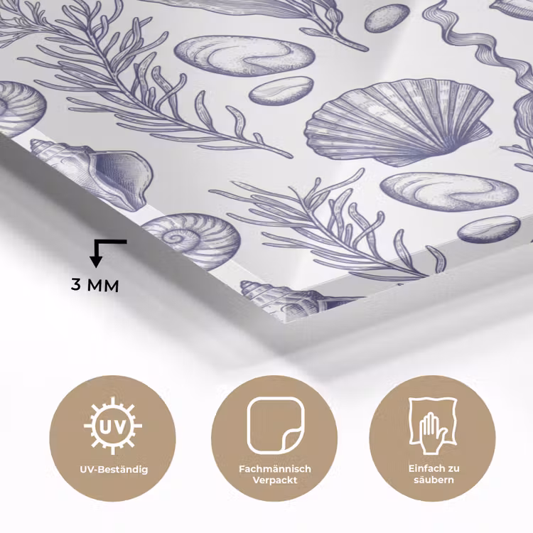Schelpen - Zeewier - Oceaan - Illustratie - Blauw plexiglas 5mm klein -wsfeer2_DE