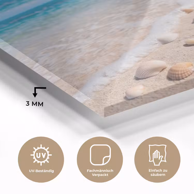 Schelpen - Strand - Natuur - Beige plexiglas 5mm klein -wsfeer2_DE