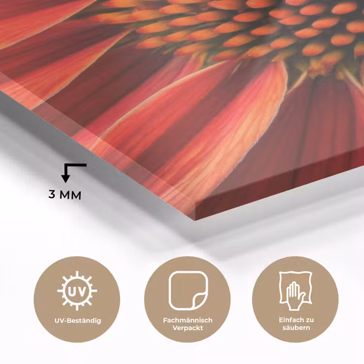 Close up - Bloem - Quote - Rood plexiglas 5mm klein -wsfeer2_DE