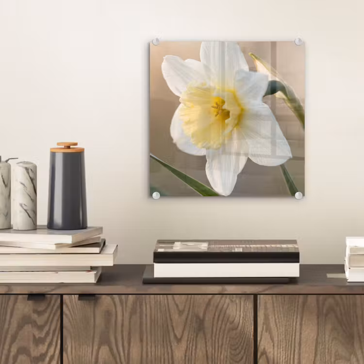 Narcis - Bloem - Minimalistisch plexiglas 5mm klein -sfeer1