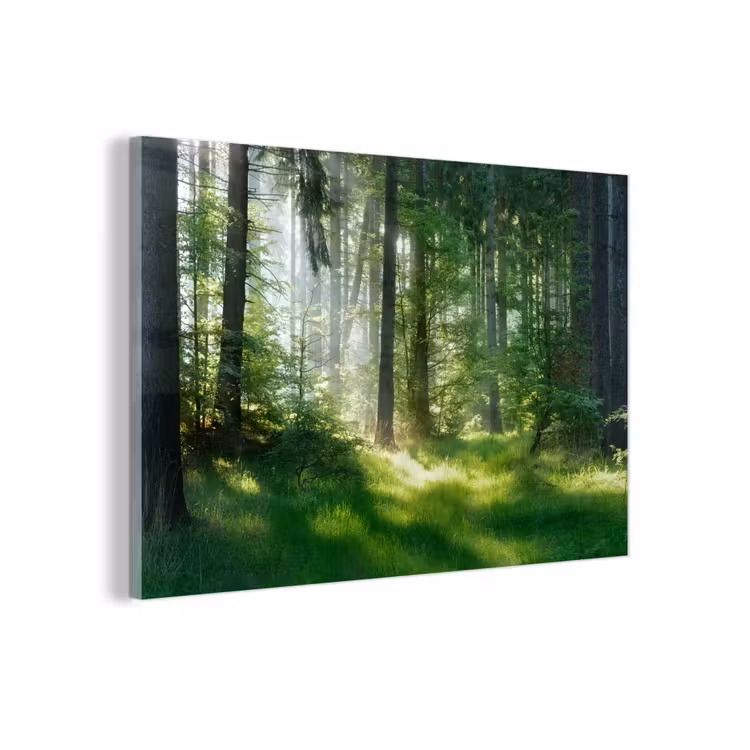 Natuur - Bomen - Bos - Groen - Zon - Gras - Planten plexiglas 5mm klein -zzzproduct_nieuw