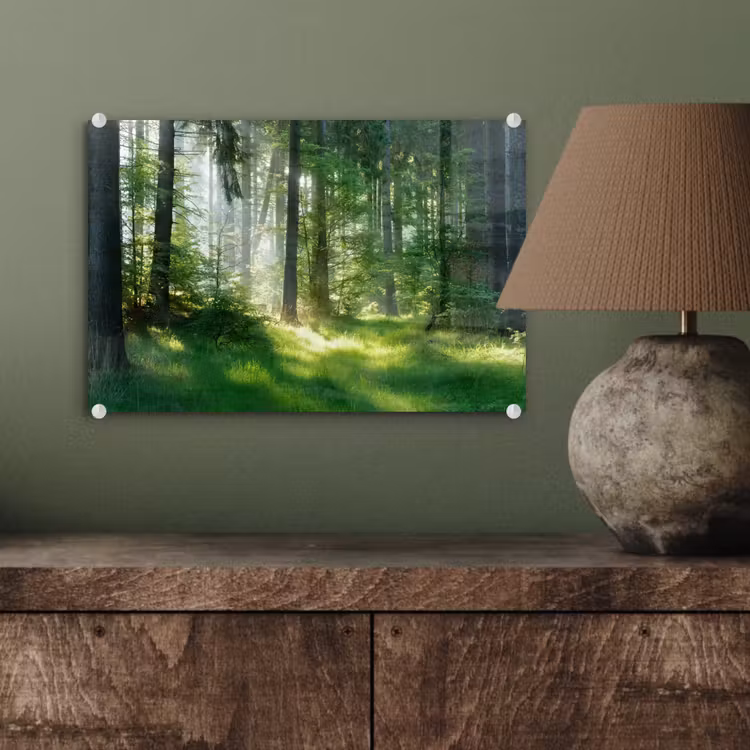 Natuur - Bomen - Bos - Groen - Zon - Gras - Planten plexiglas 5mm klein -wsfeer2_DE