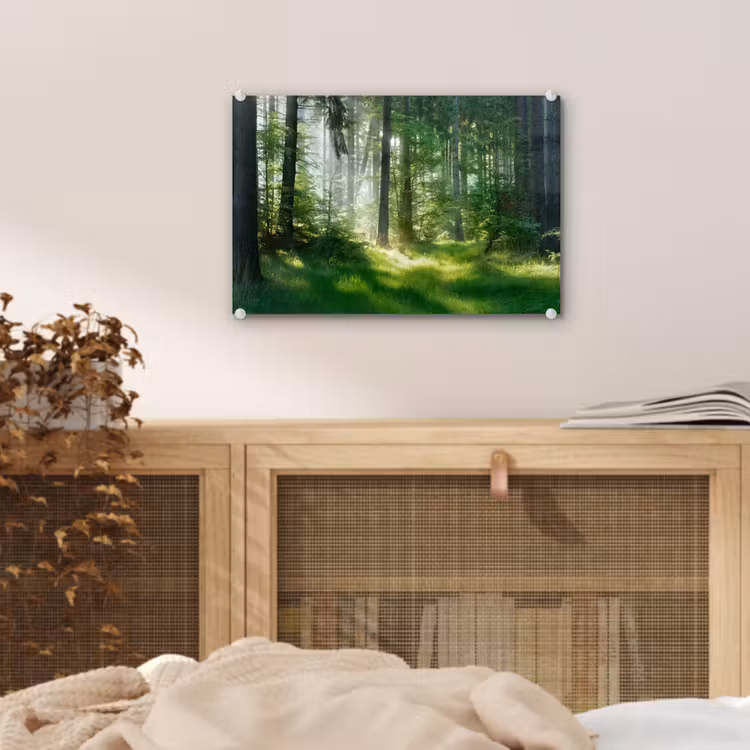 Natuur - Bomen - Bos - Groen - Zon - Gras - Planten plexiglas 5mm klein -sfeer3