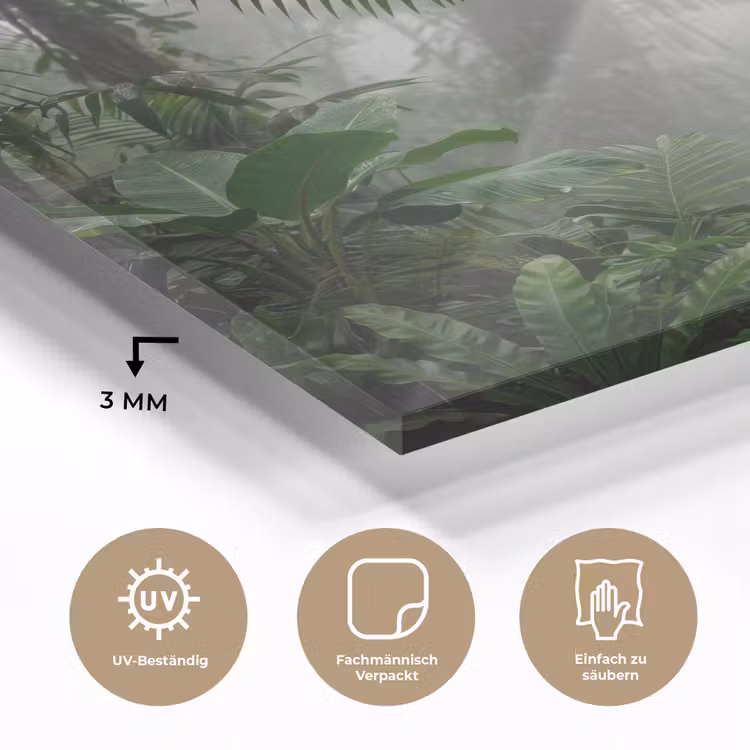 Natuur - Jungle - Mist - Tropisch - Groen plexiglas 5mm klein -wsfeer2_DE