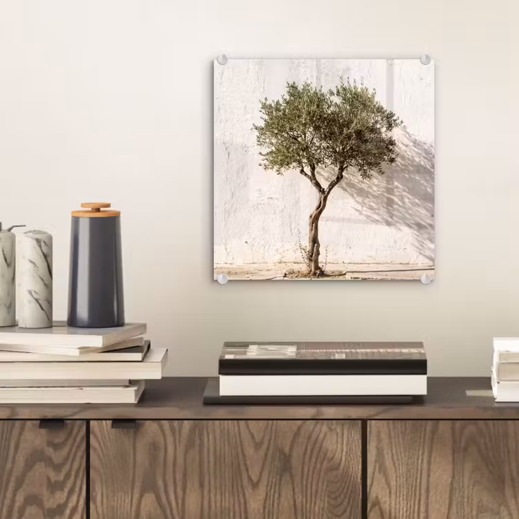Glasbild - Olivenbaum – Wand – weiß - Olijfboom - muur - wit plexiglas 5mm klein