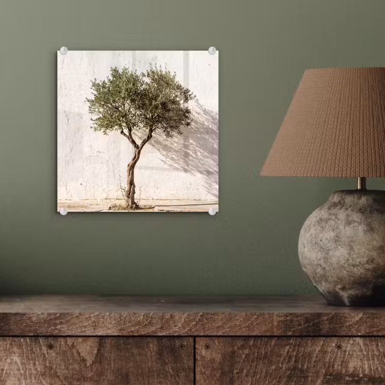 Glasbild - Olivenbaum – Wand – weiß - Olijfboom - muur - wit plexiglas 5mm klein