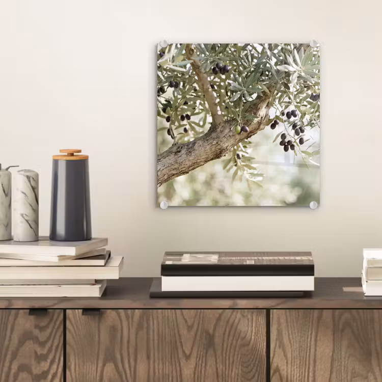 Glasbild - Olivenbaum – Zweig – grün - Olijfboom - tak - groen plexiglas 5mm klein