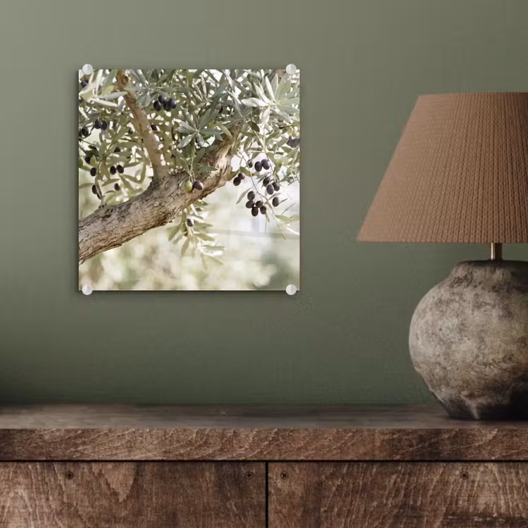 Glasbild - Olivenbaum – Zweig – grün - Olijfboom - tak - groen plexiglas 5mm klein