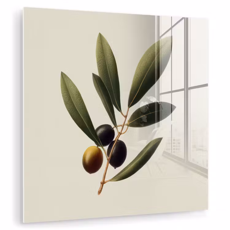 Olijftak - Donkergroen - Olijven plexiglas 5mm klein -zzzproduct_nieuw