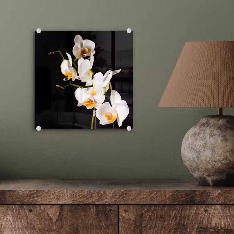 Orchidee - Bloemen - Planten - Botanisch plexiglas 5mm klein -sfeer3