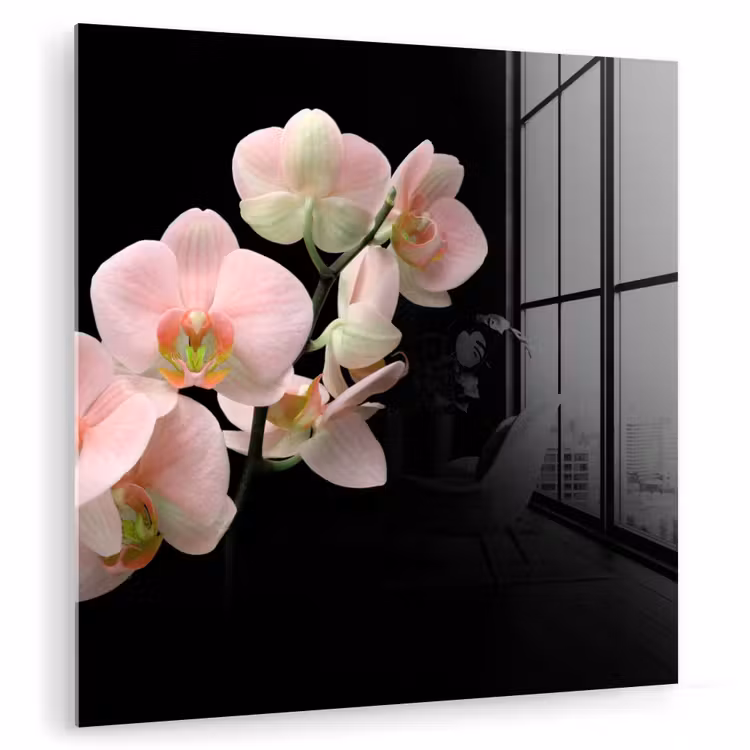 Orchidee - Bloemen - Roze - Stilleven - Flora plexiglas 5mm klein -zzzproduct_nieuw