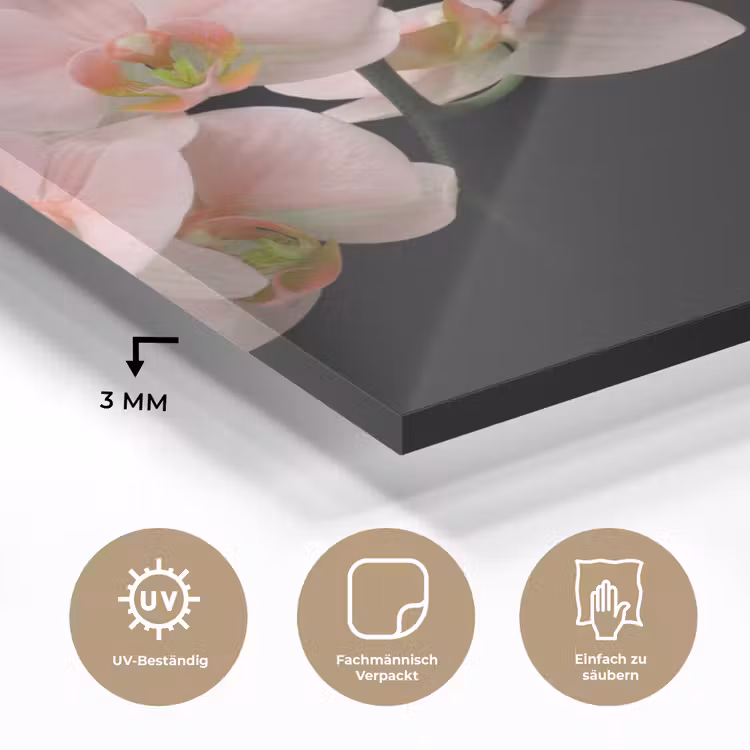 Orchidee - Bloemen - Roze - Stilleven - Flora plexiglas 5mm klein -wsfeer2_DE