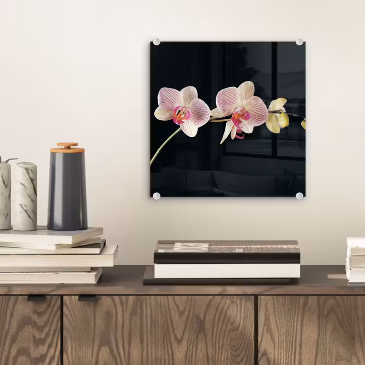 Orchidee - Bloemen - Zwart - Roze - Knoppen plexiglas 5mm klein -sfeer1