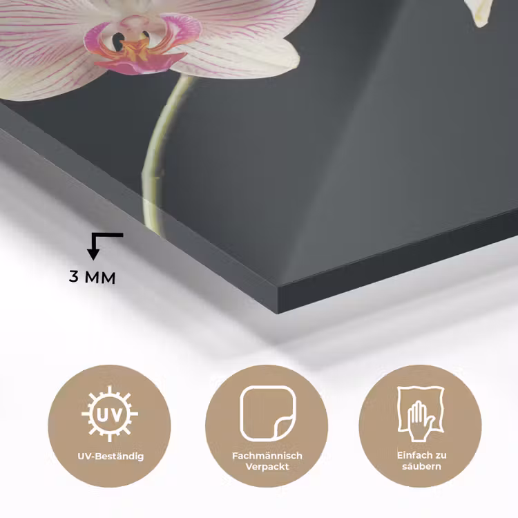 Orchidee - Bloemen - Zwart - Roze - Knoppen plexiglas 5mm klein -wsfeer2_DE