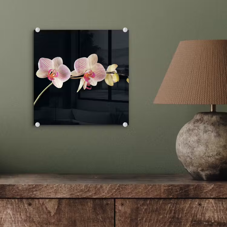 Orchidee - Bloemen - Zwart - Roze - Knoppen plexiglas 5mm klein -sfeer3