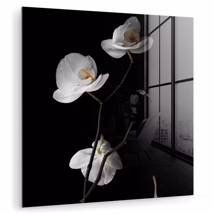Orchidee - Bloemen - Zwart - Wit - Stilleven plexiglas 5mm klein -zzzproduct_nieuw