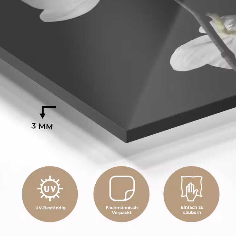 Orchidee - Bloemen - Zwart - Wit - Stilleven plexiglas 5mm klein -wsfeer2_DE