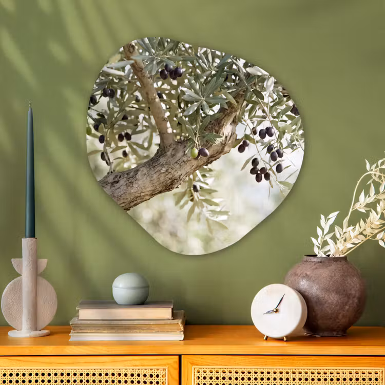 Glasbild Organische Form - Olivenbaum – Zweig – grün - Olijfboom - tak - groen Wandcirkel Organisch Plexiglas middel